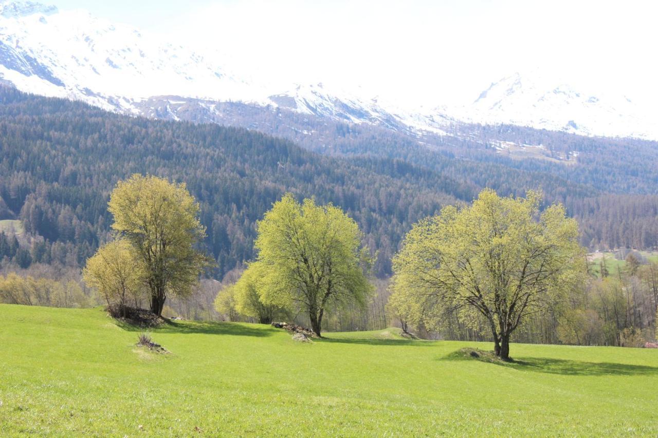 Bed and Breakfast Paclera79 à Santa Maria Val Müstair Extérieur photo